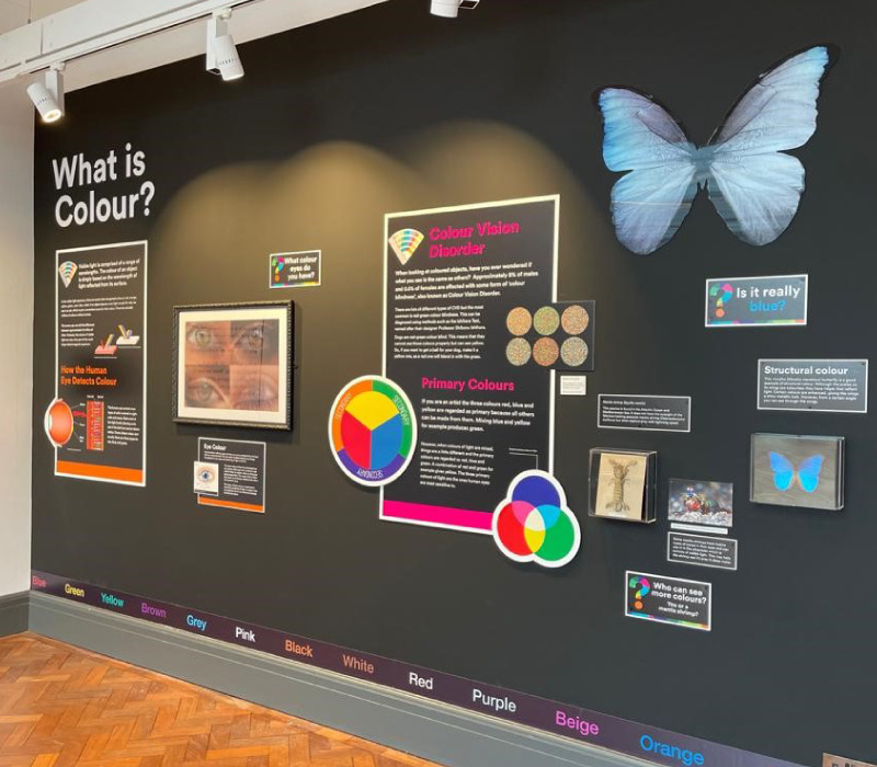 World of Colours exhibition for Bolton Museum using sustainable materials from our Impression eco range