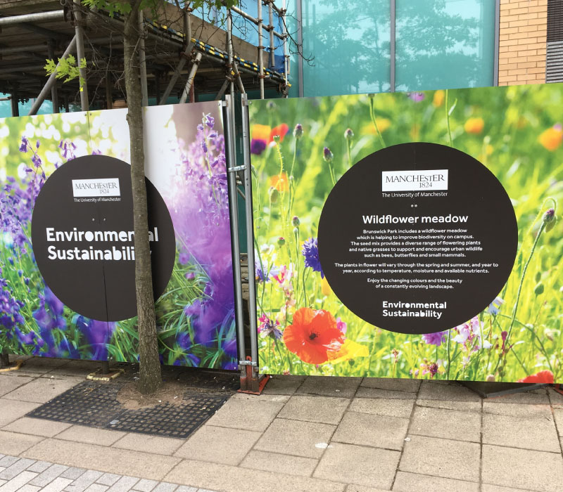 Photo of construction hoardings for universities and educational settings in the UK