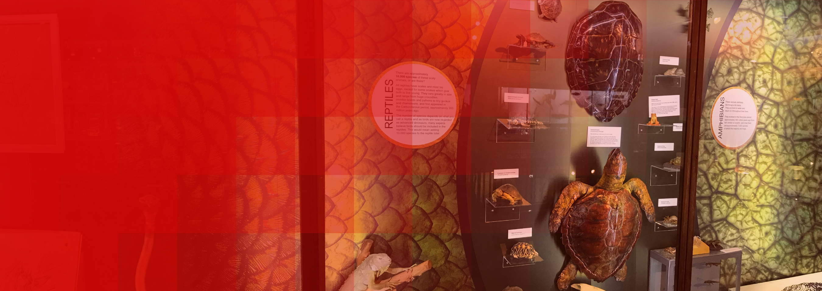 Impression Museum Sector Image