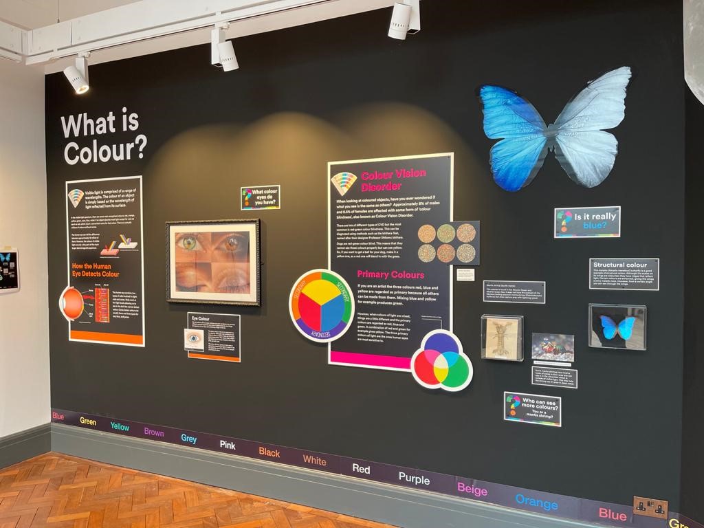 Bolton Library & Museum Services’ “World of Colours” exhibition