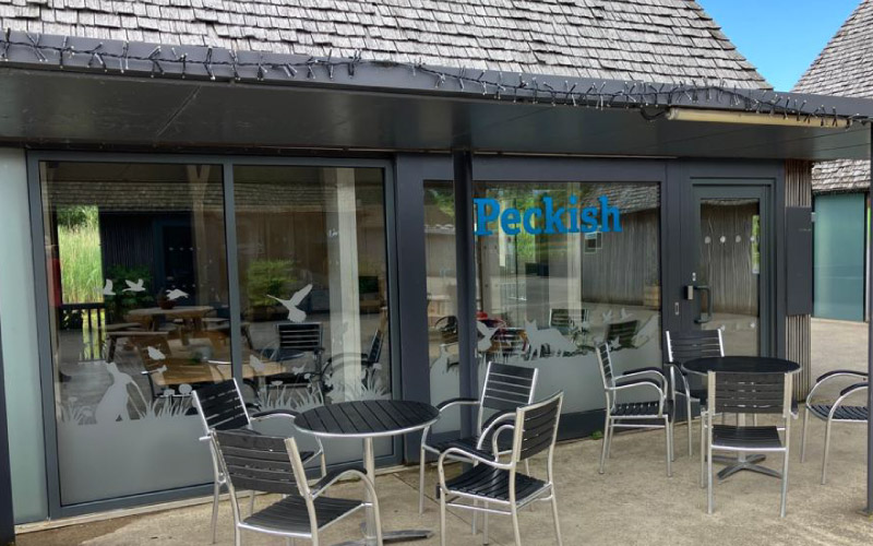Attractive window graphics printed and installed by Impression
